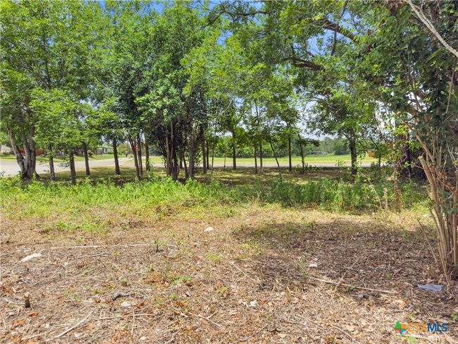 1140 N Hackberry Ave, Home with 0 bedrooms, 0 bathrooms and null parking in Luling TX | Image 7
