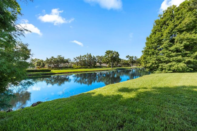 10751 Tavistock Dr, House other with 4 bedrooms, 4 bathrooms and null parking in Tampa FL | Image 57