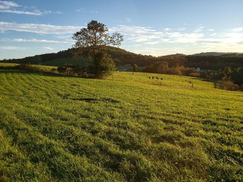 TBD Crestview Mountain Dr Lot 44, Ennice, NC, 28623 | Card Image