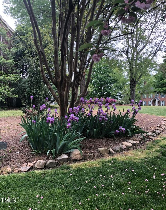 9301 Brookton Court, Raleigh, NC 27615 p | Image 4
