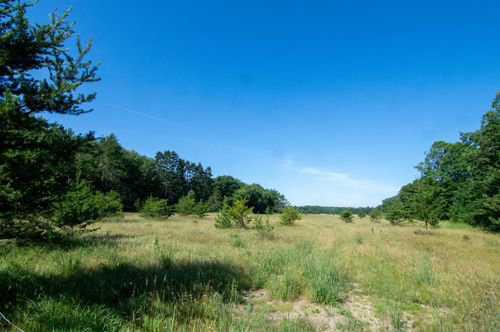 XXX County Road 19, Merrifield, MN, 56465-4036 | Card Image