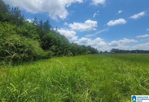 1-0 Highway 280, HARPERSVILLE, AL, 35078 | Card Image