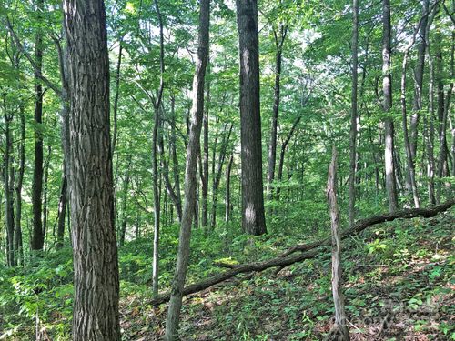 112 & 113 Grouse Road, Clyde, NC, 28721 | Card Image