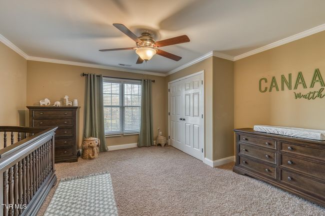 3 Chestnut Ridge Ct, House other with 5 bedrooms, 4 bathrooms and null parking in Jonesborough TN | Image 52