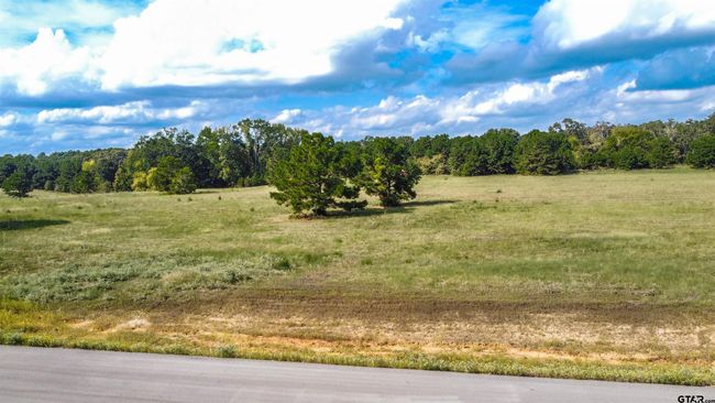 16078 Aniston Ln, Home with 0 bedrooms, 0 bathrooms and null parking in Flint TX | Image 17