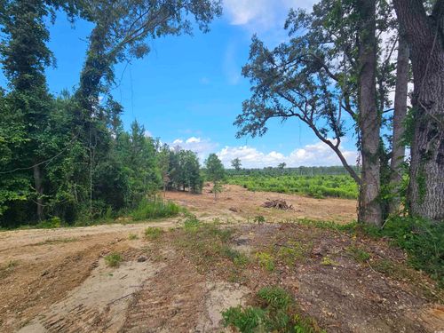 157 Mingo Chandler Rd, Nesmith, SC, 29580-3004 | Card Image