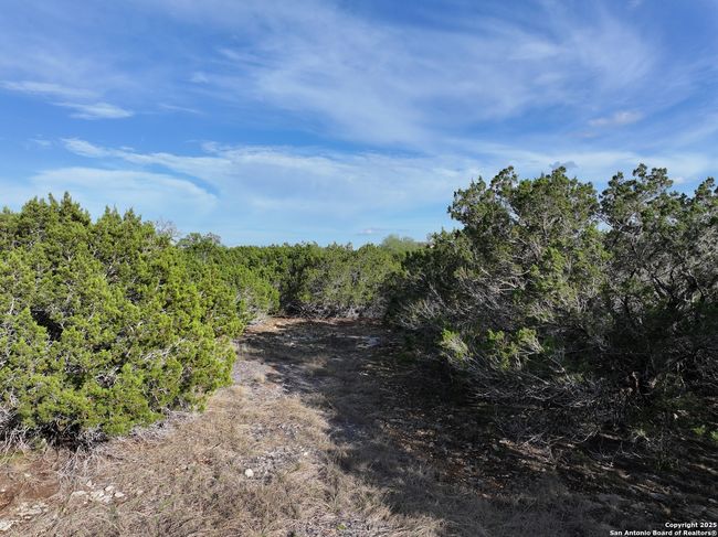 PARCEL19 La Vista Ct, Home with 0 bedrooms, 0 bathrooms and null parking in Pipe Creek TX | Image 21