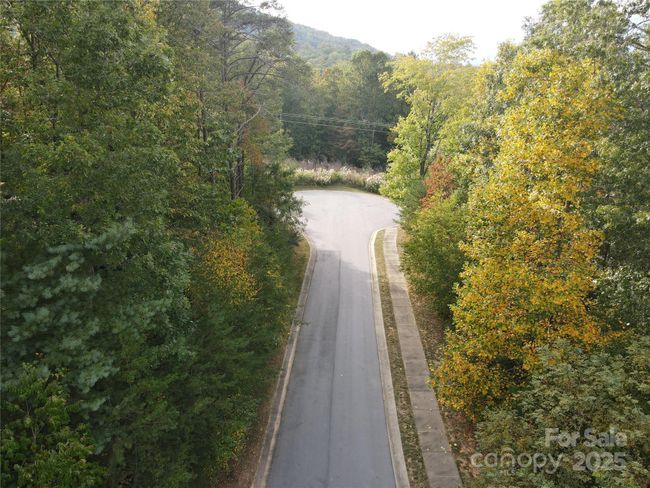Summer street view | Image 9