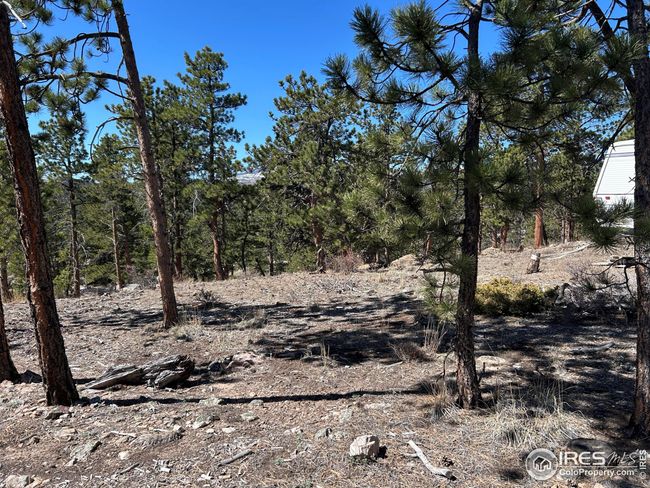 295 Piney Knolls Dr, Home with 0 bedrooms, 0 bathrooms and null parking in Red Feather Lakes CO | Image 7