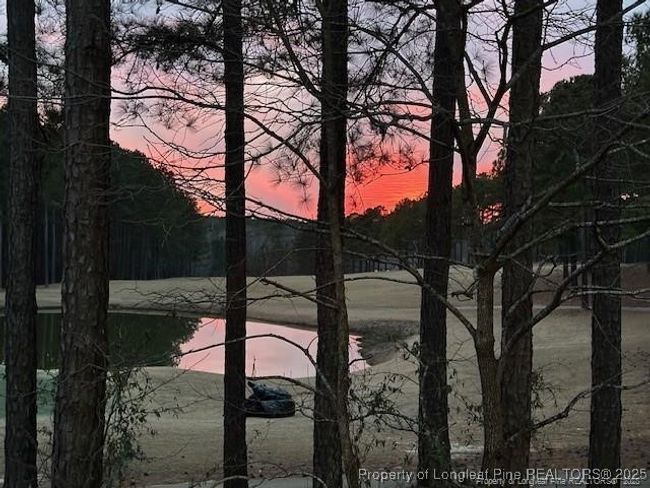 82 Pine Hawk Dr, Townhouse with 3 bedrooms, 3 bathrooms and null parking in Spring Lake NC | Image 15