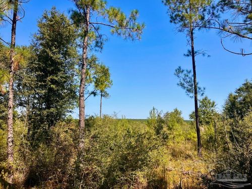 Lot 6 Saunders Ln, Molino, FL, 32577 | Card Image