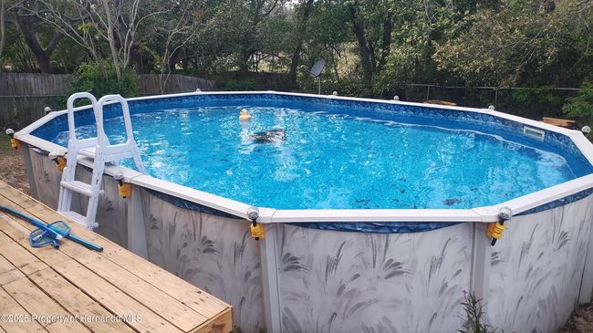 6231 Wayside Ct, House other with 3 bedrooms, 2 bathrooms and null parking in SPRING HILL FL | Image 38