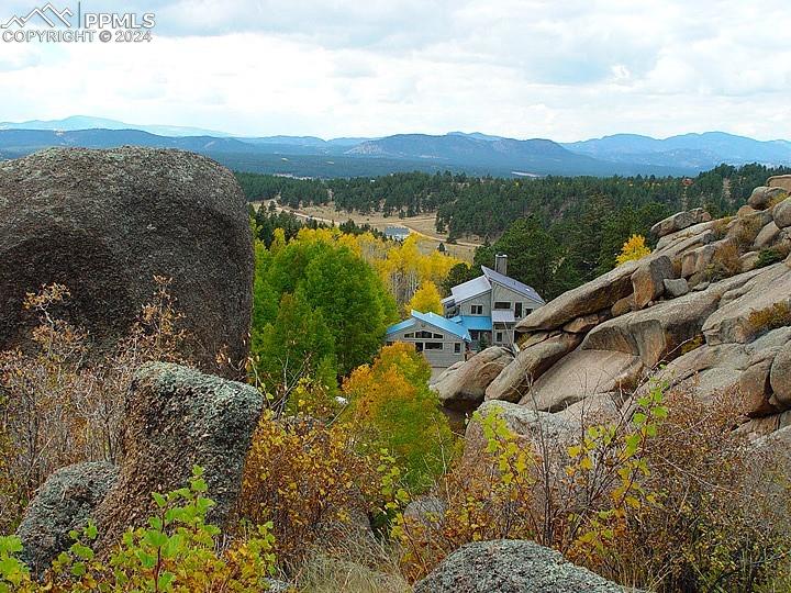 Pitchblende Rd, Florissant, CO 80816