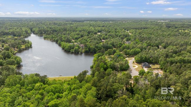 Aerial View | Image 54