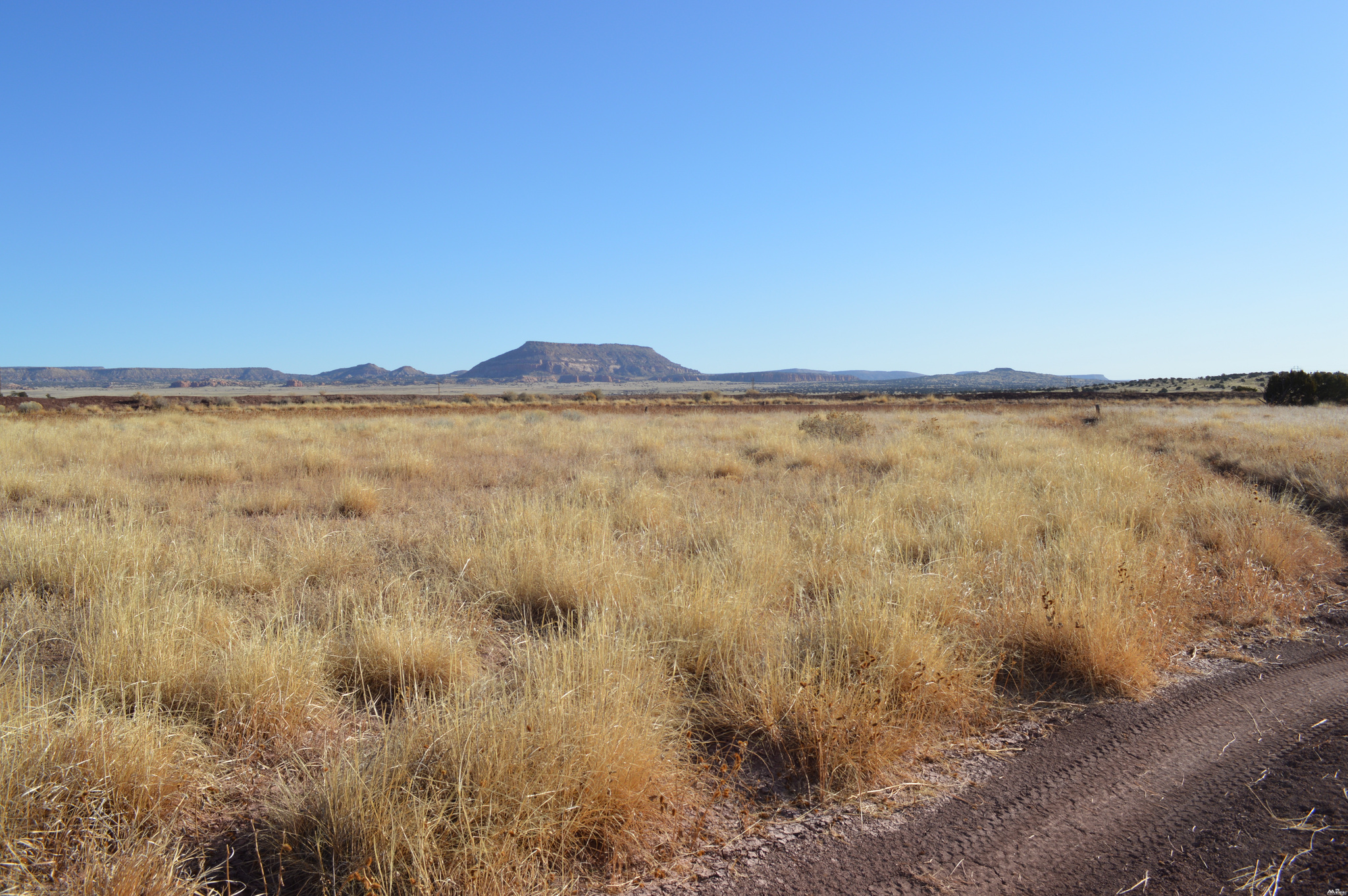 Land in Prewitt 5