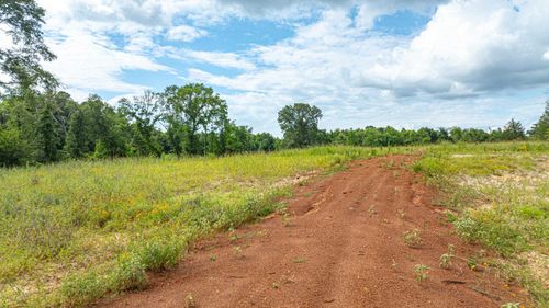 TBD 376 E County Road, Henderson, TX, 75652 | Card Image