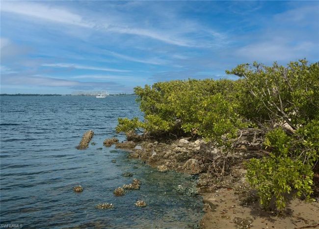 Punta Gorda lifestyle | Image 29