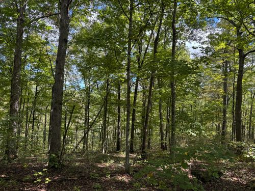 86-Lot 84, 85, 86 Sandstone Point Trl, Monticello, KY, 42633 | Card Image