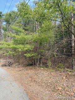 Land in Deerpark
