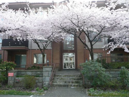 209-6688 Burlington Ave, Burnaby, BC, V5H3M9 | Card Image