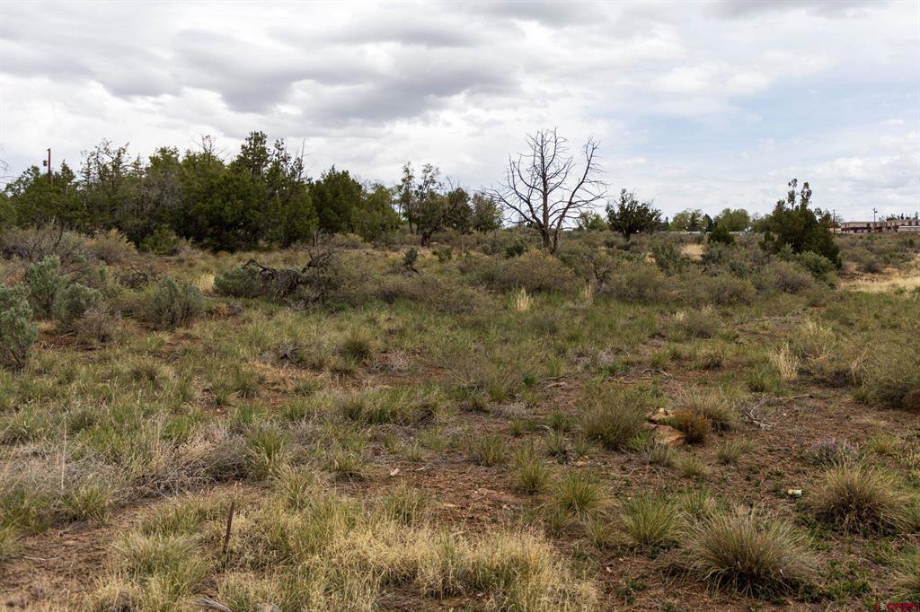 Land in Cortez 3