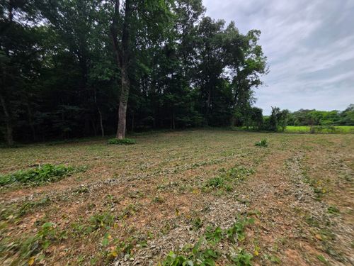 12 Shellsford Rd, McMinnville, TN, 37110 | Card Image