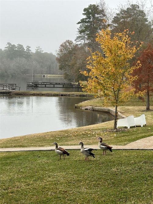 130 Sunset Lake Rd, Huntsville, TX, 77340-9715 | Card Image