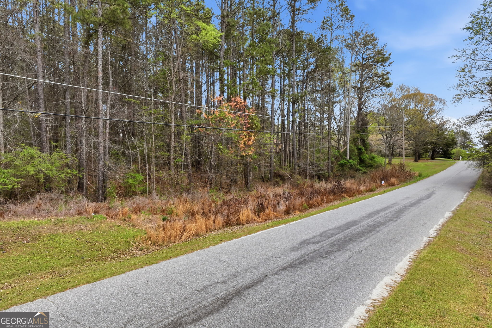 Land in Conyers 2