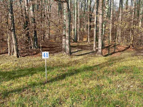 lot-41-winterset-drive-Lot 41 Winterset Drive, Davis, WV, 26260 | Card Image