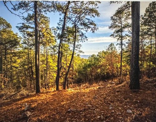 177499 Box Springs Mountain Rd, Moyers, OK, 74557 | Card Image