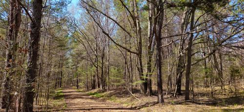 000 Bartram Trace Rd, Rayle, GA, 30660 | Card Image