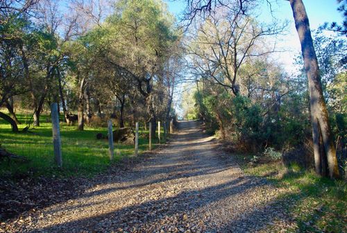 14331 Beitler Rd, Nevada City, CA, 95959 | Card Image