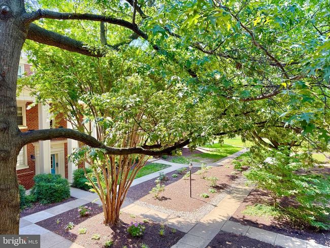 APT-4 - 1407 E Abingdon Dr, Condo with 1 bedrooms, 1 bathrooms and null parking in ALEXANDRIA VA | Image 28