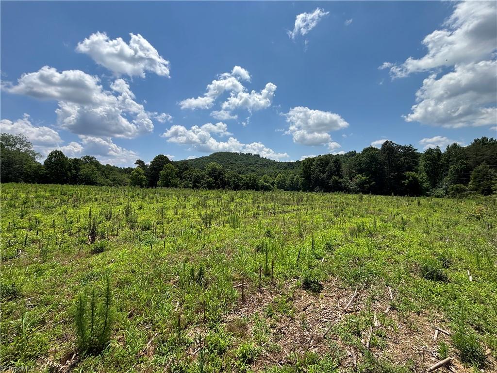 Land in Statesville 4