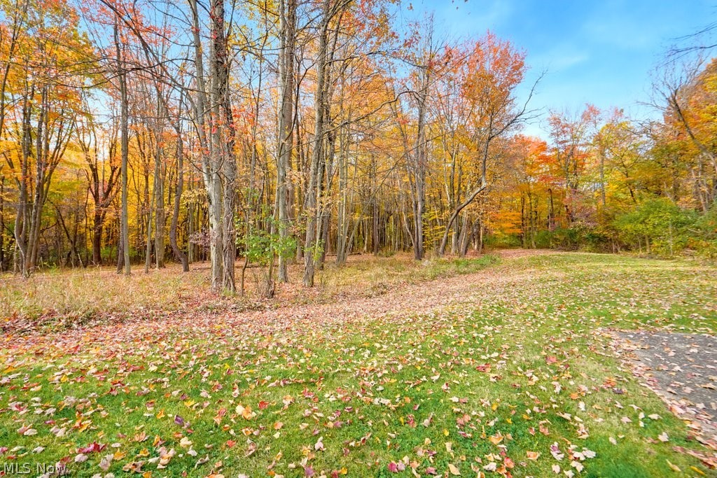 Land in Chagrin Falls 5