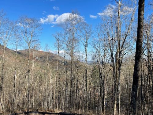2 Frond Ct, Sapphire, NC, 28774 | Card Image