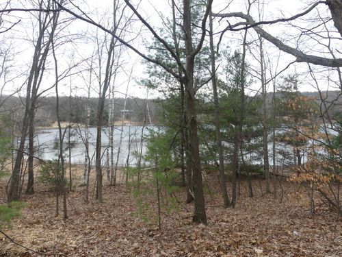 V/L W Buchanan Road, Shelby, MI, 49455 | Card Image