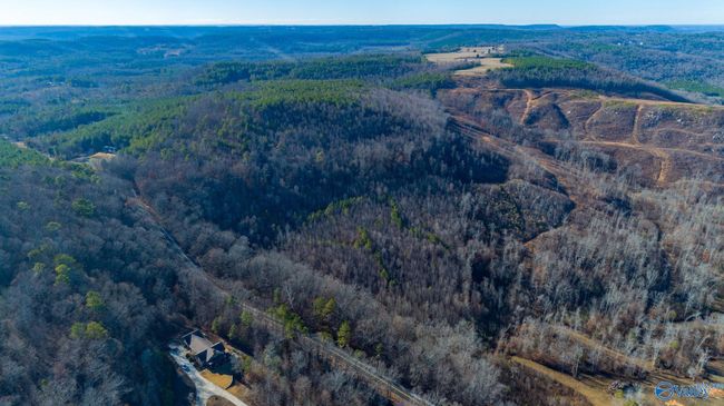 80 acres Rock Creek Rd, Home with 0 bedrooms, 0 bathrooms and null parking in Eva AL | Image 26