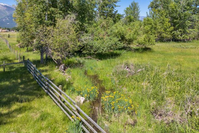 View of live water | Image 57