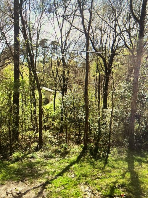 8 White Oak Drive, Point Blank, TX, 77364 | Card Image