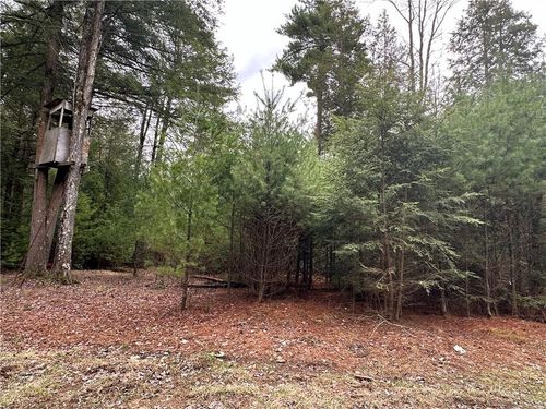 TBD Ulster Heights Rd, Ellenville, NY, 12428 | Card Image