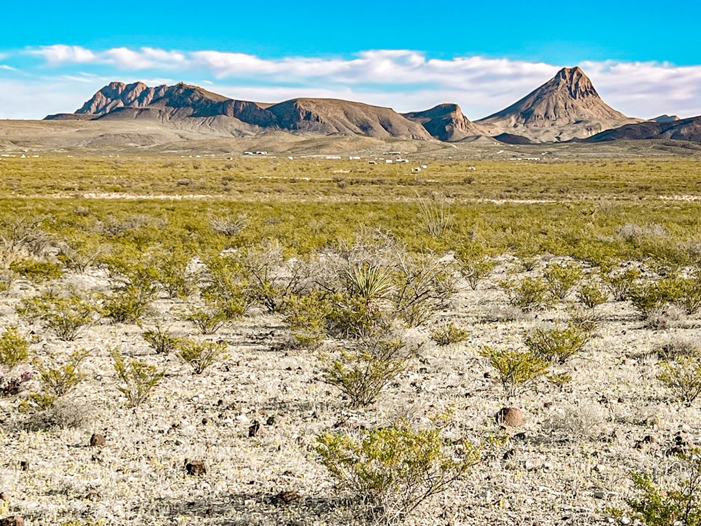 Land in Terlingua 2