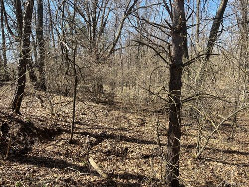 VL 1.98 Ac Lake Lapeer Drive, Elba Township, MI, 48455 | Card Image