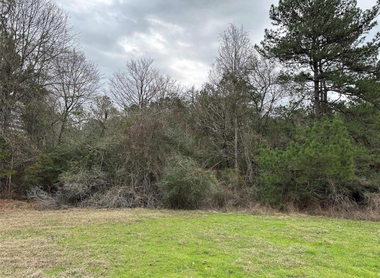 Land in Trinity 3
