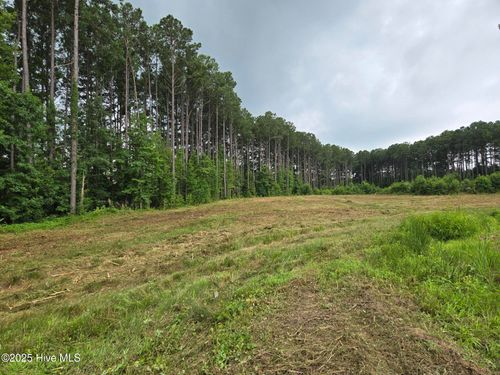 Lot 50 Roseheath Rd, Bailey, NC, 27807 | Card Image