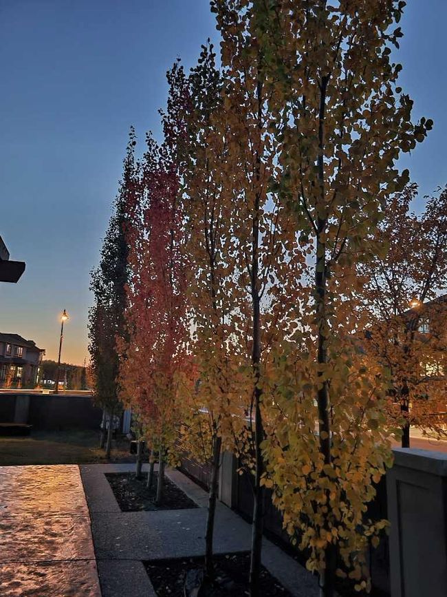 3 Aspen Summit View Sw, Home with 3 bedrooms, 2 bathrooms and 4 parking in Calgary AB | Image 44
