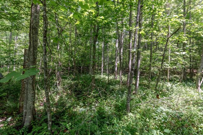26.18 AC Green Road, Home with 0 bedrooms, 0 bathrooms and null parking in Young Harris GA | Image 5