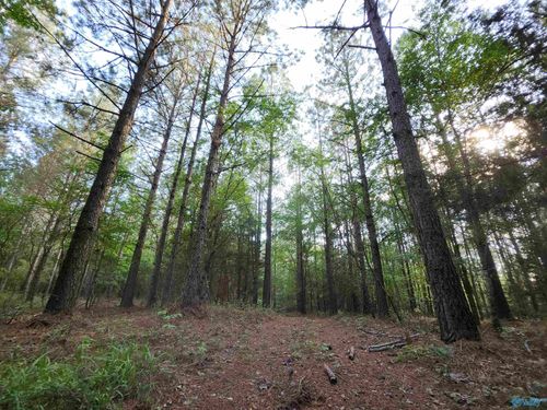 6926 County Road 29, Piedmont, AL, 36272-3023 | Card Image