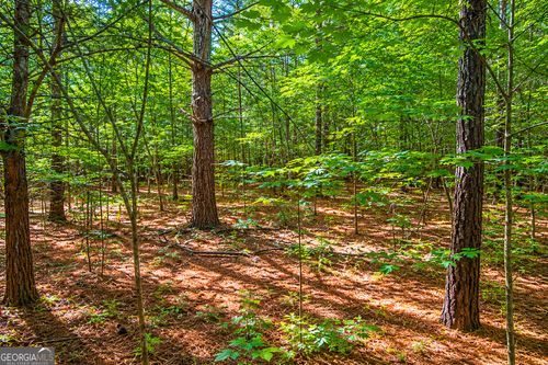 5.5 ACRES Bronco Road, Lafayette, GA, 30728 | Card Image