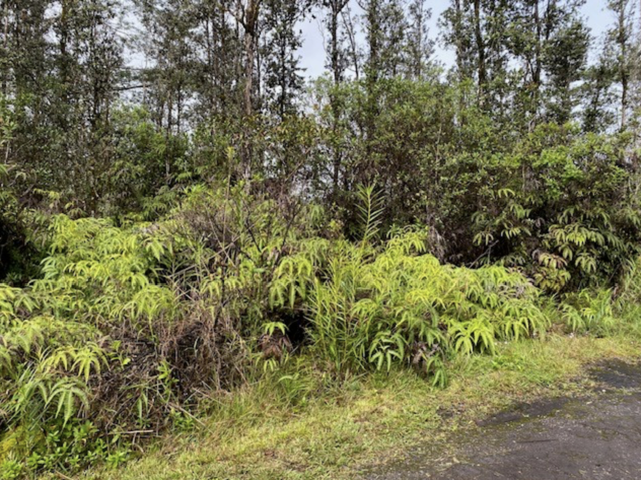 Land in Kurtistown